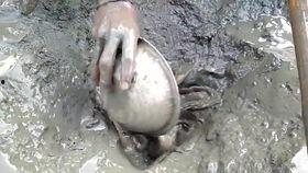 韩国鲶鱼爆料视频大全下载,揭秘娱乐圈幕后真相 第2张 韩国鲶鱼爆料视频大全下载,揭秘娱乐圈幕后真相 第2张