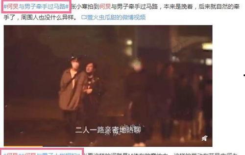 何炅绯闻爆料视频全集,视频全集深度剖析